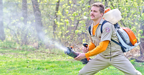 Hear the Buzz?  Mosquito Hunters and IFPG are Swarming Again!